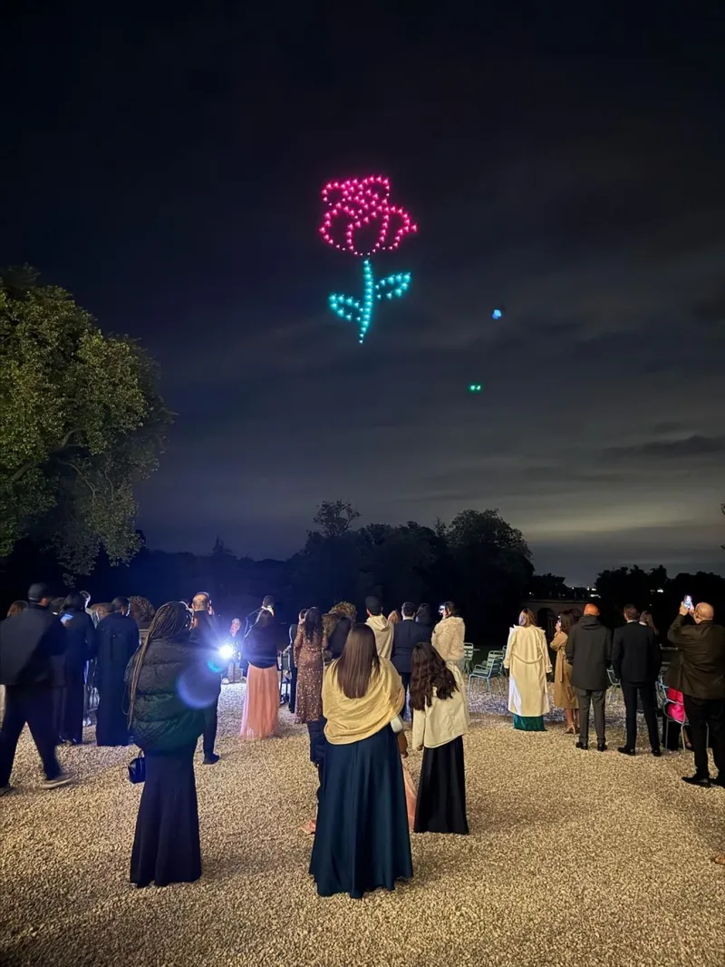 Rose illuminant le ciel