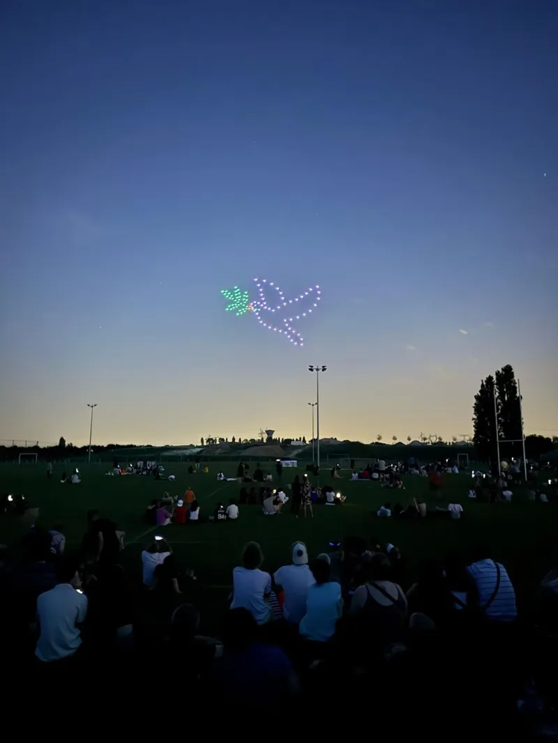 Colombe de la paix dessinée en drones lumineux au-dessus de la plaine