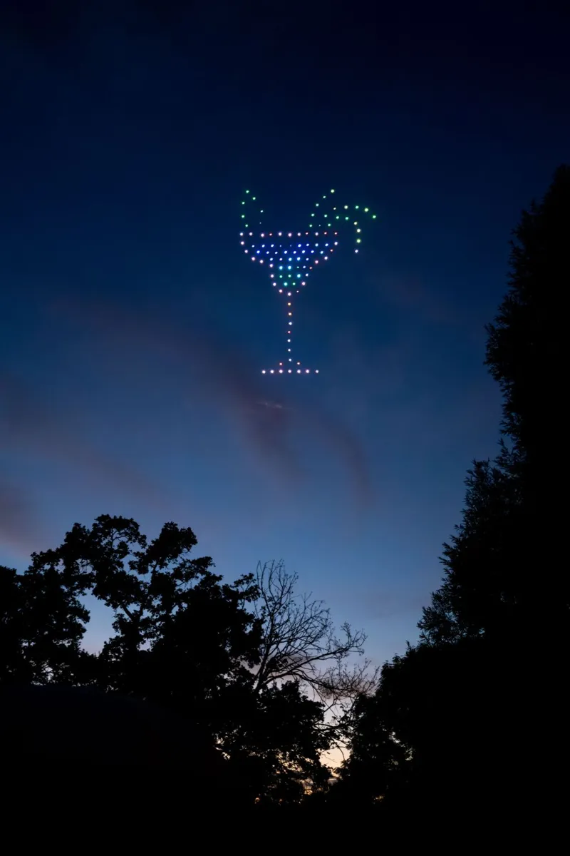 Cocktail coloré en drones lumineux entre les arbres du domaine
