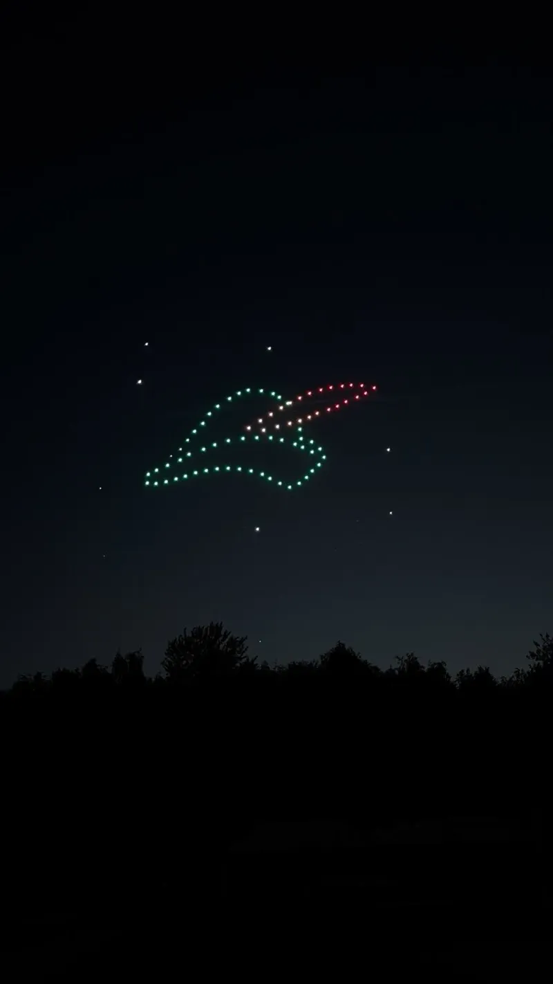 Feuille dessinée en drones lumineux au-dessus de la forêt